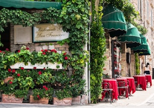 A charming outdoor café featuring vibrant red tablecloths set on wrought iron tables, nestled under lush green awnings with abundant greenery. A stone wall adorned with climbing plants adds to the rustic atmosphere, and a sign displays the café's name.