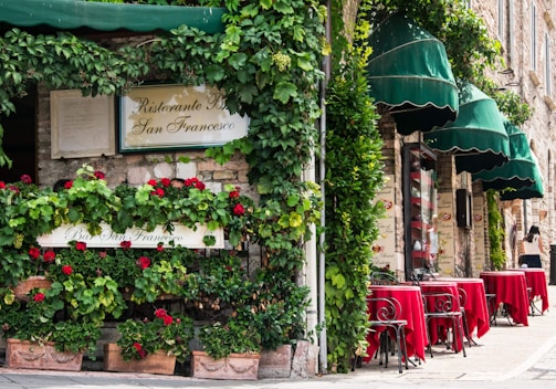 A charming outdoor café featuring vibrant red tablecloths set on wrought iron tables, nestled under lush green awnings with abundant greenery. A stone wall adorned with climbing plants adds to the rustic atmosphere, and a sign displays the café's name.