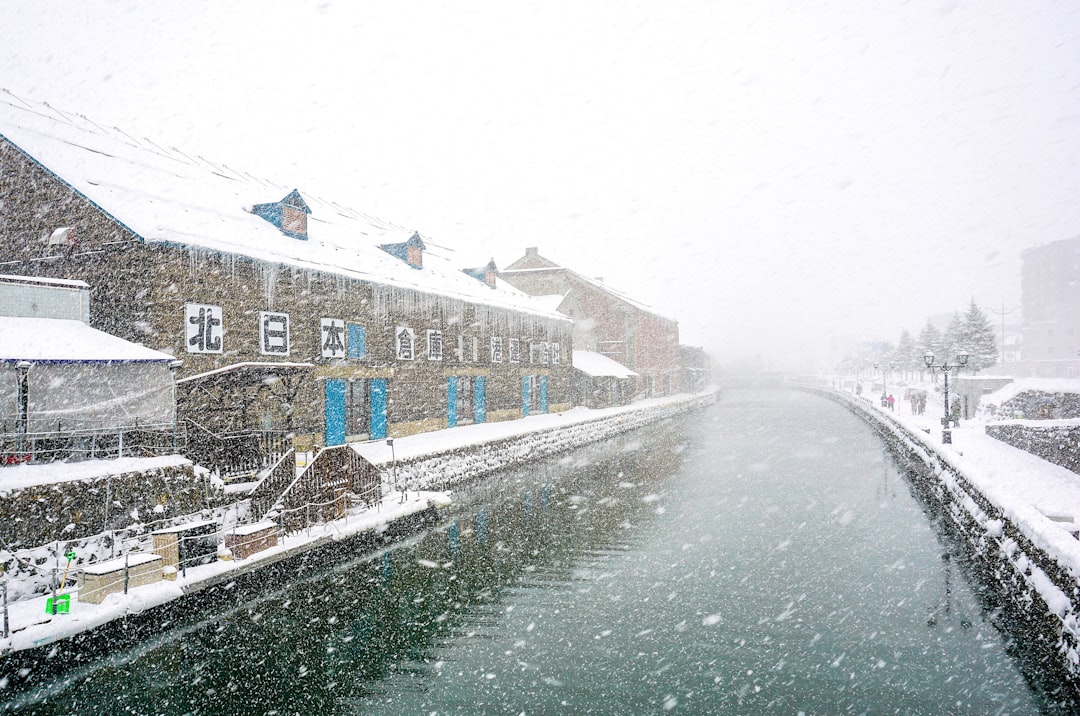 calm body of water, japan winter