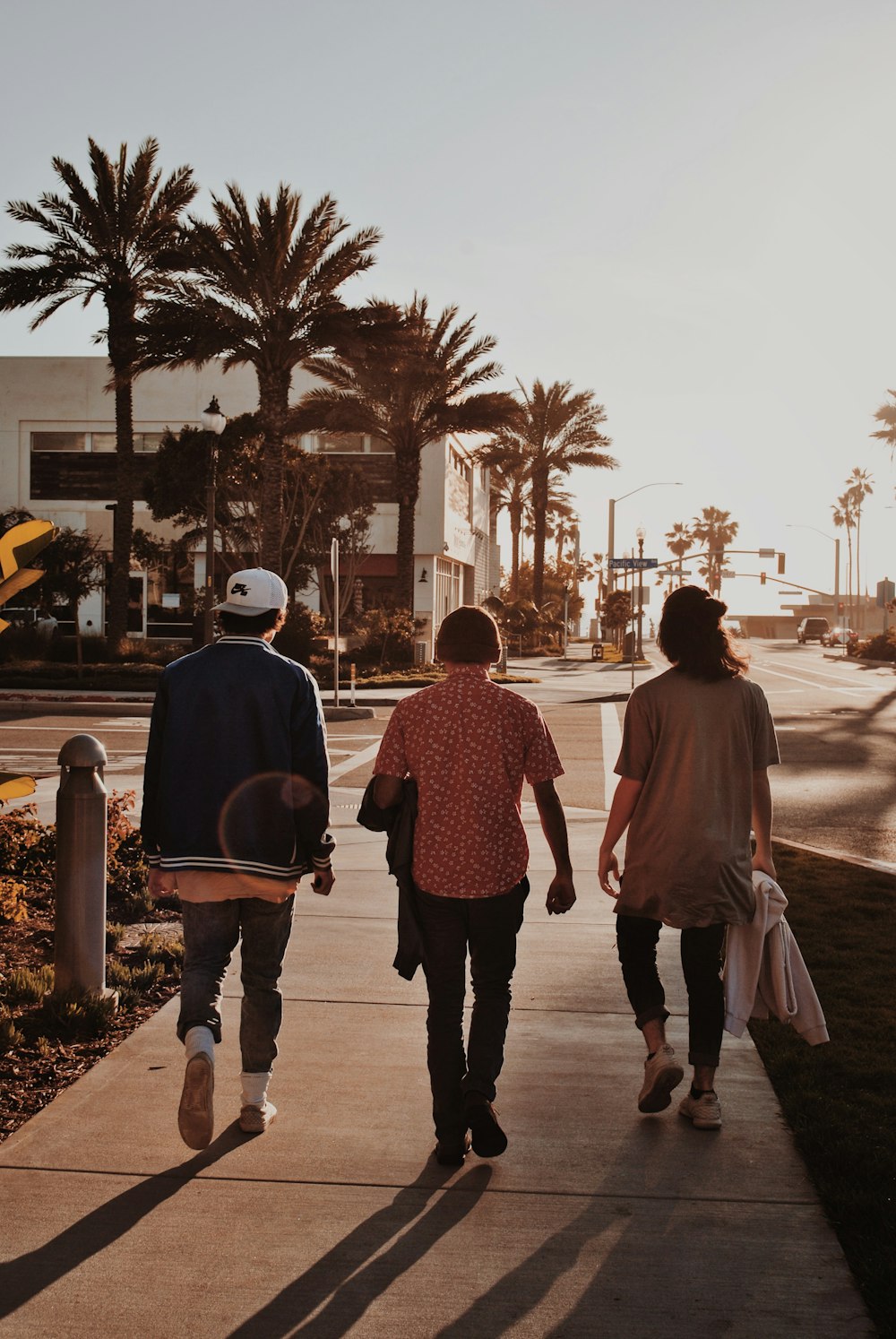 three persons walking near palm trees