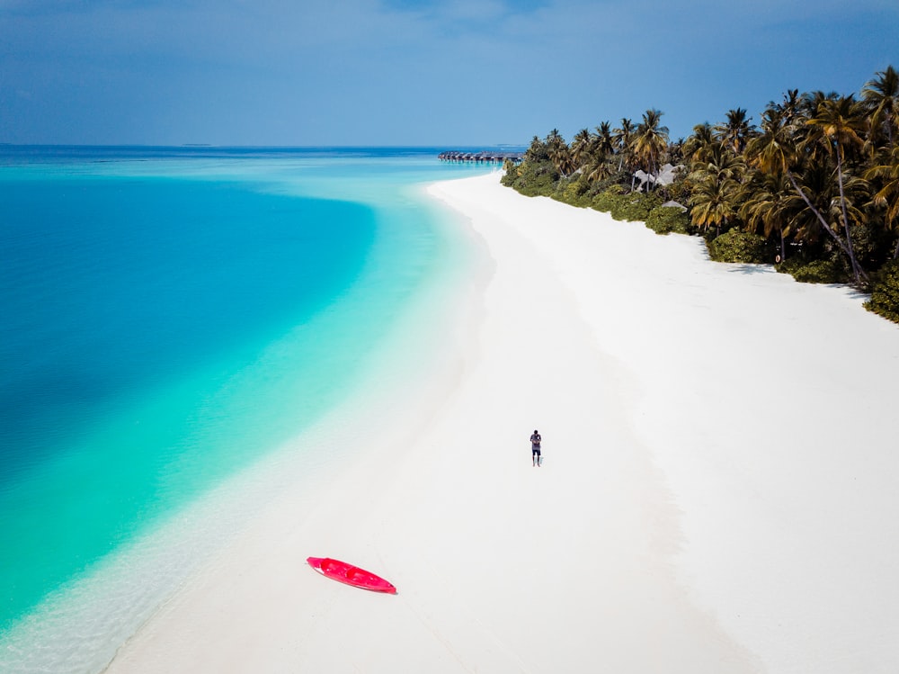 person on seashore