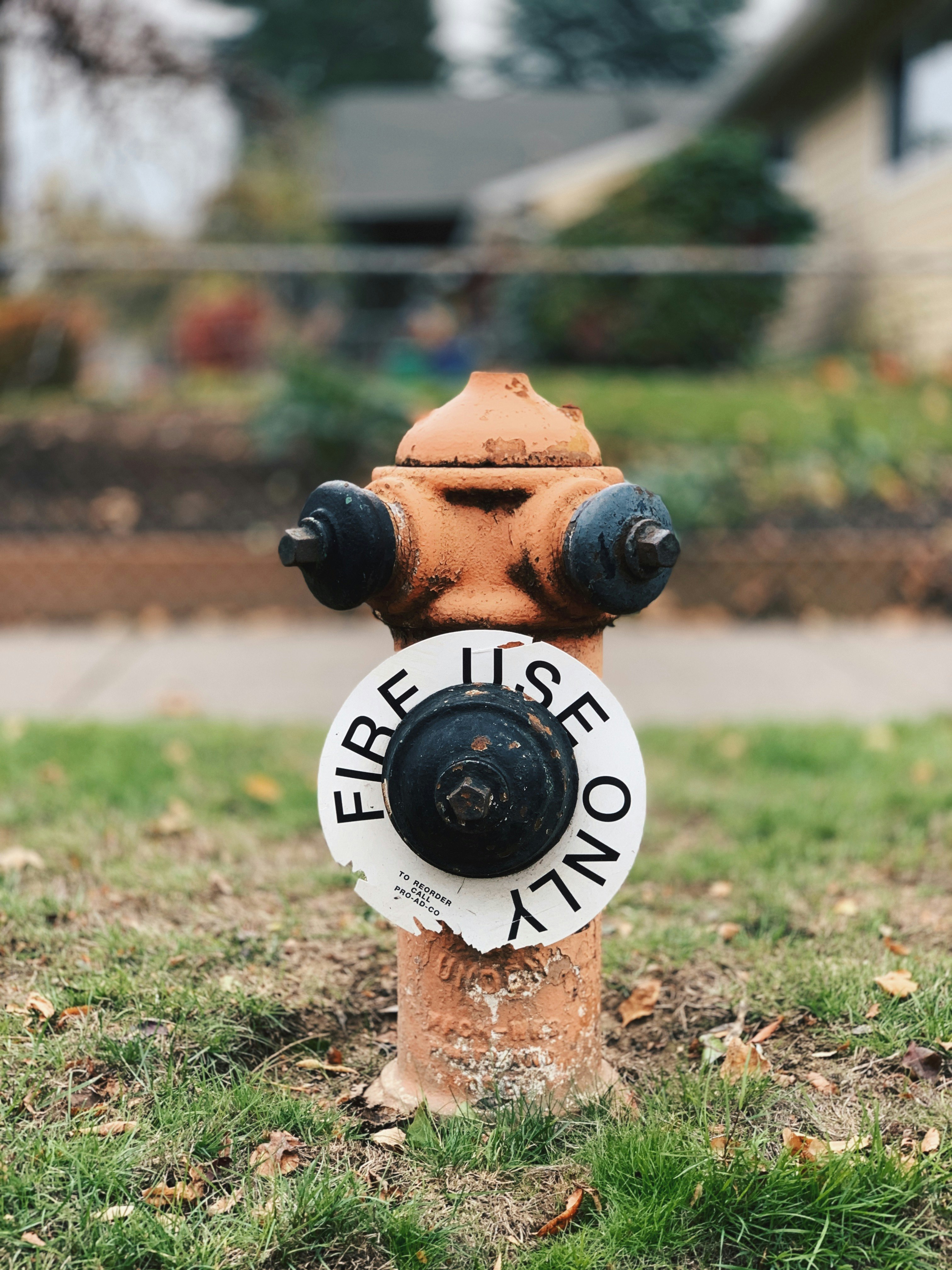 orange fire hydrant