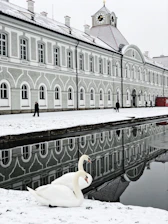 two white swans across body of water