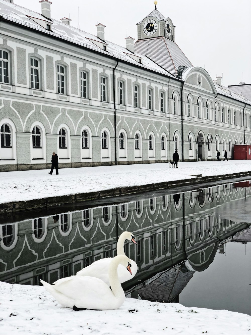 two white swans across body of water