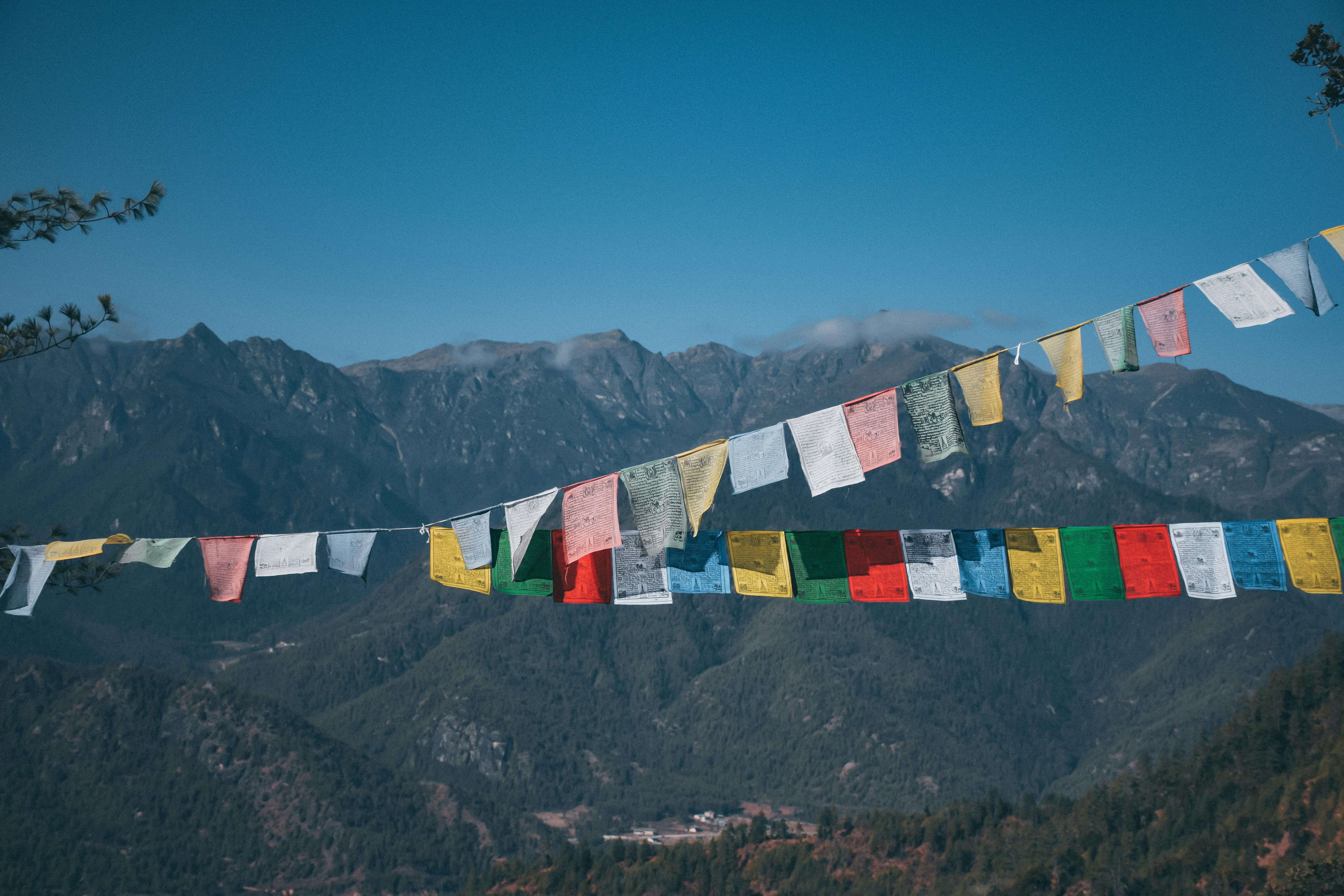 selective photo of buntings, Prayer flags in Bhutan