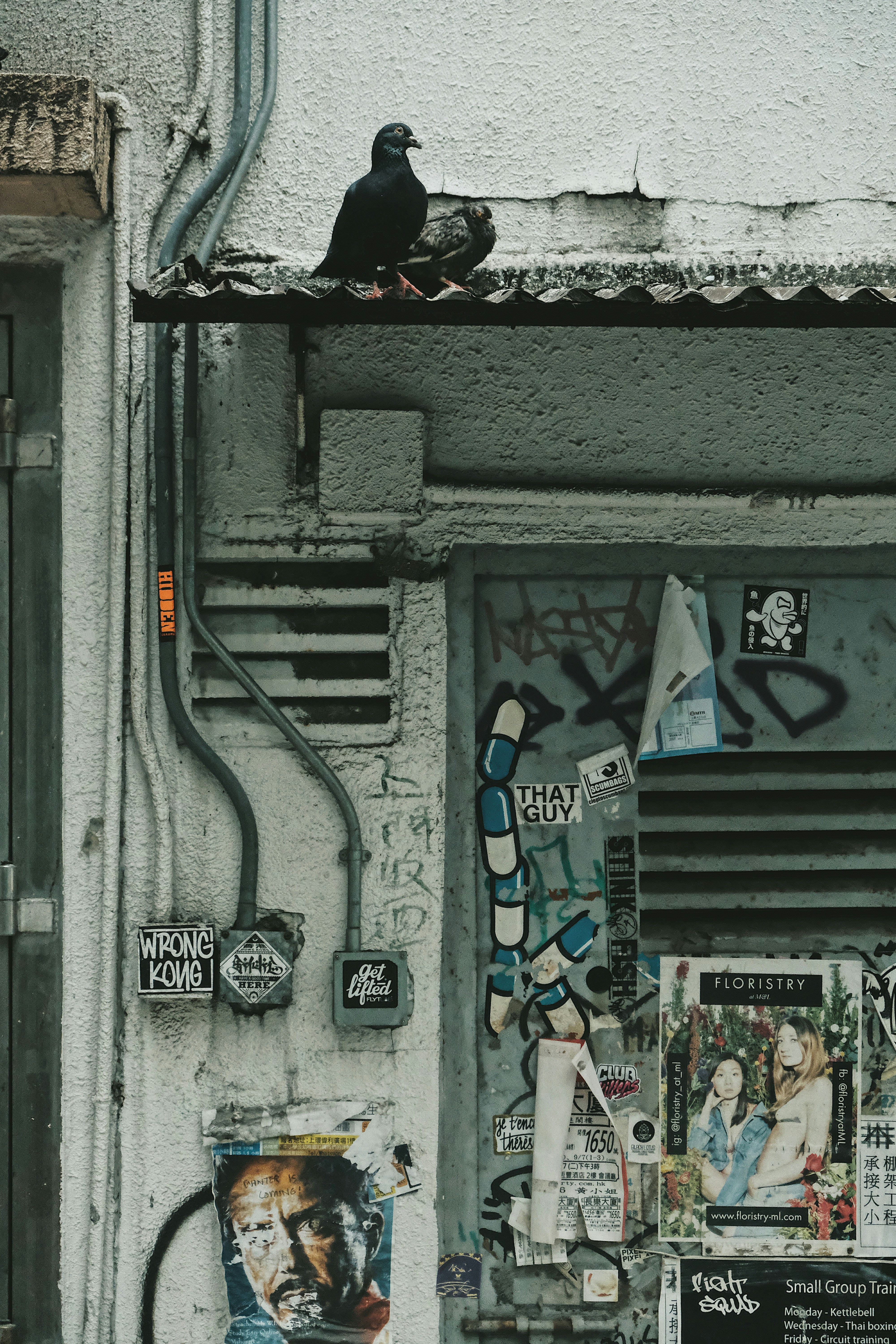 Photo by dynamicwang