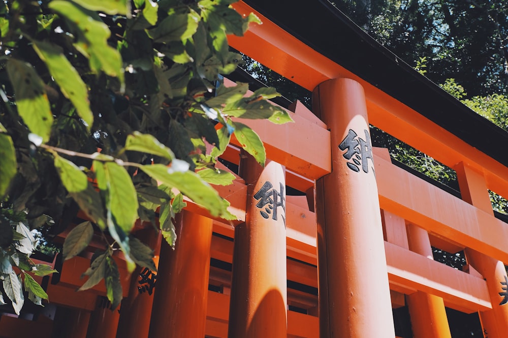 red torii gate