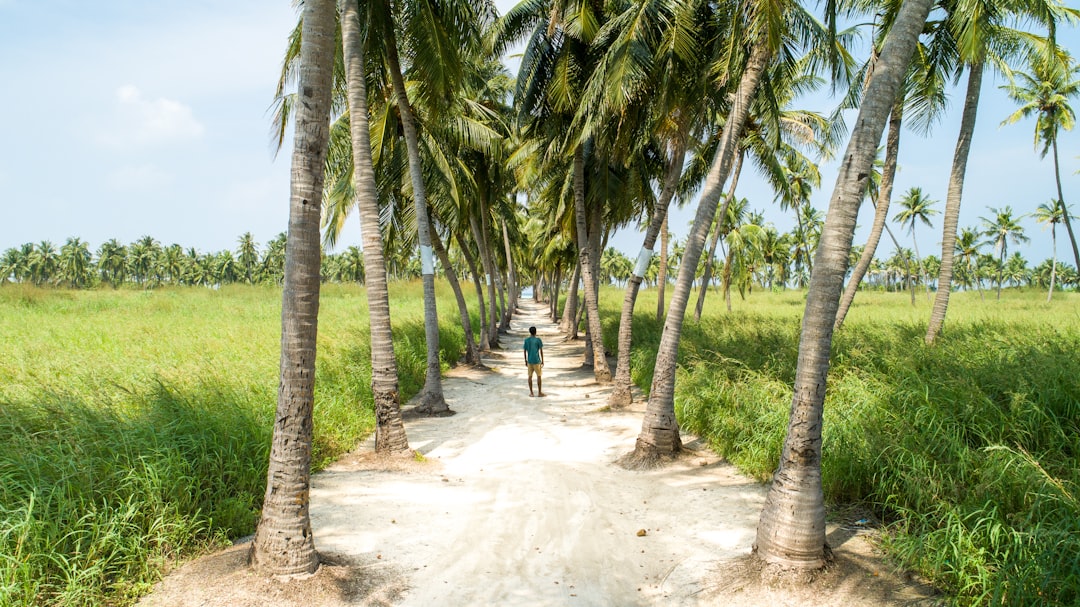 Natural landscape photo spot Vaau Magu Baa Atoll