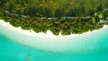 An aerial view of a tropical beach with lush green palm trees lining the shoreline. The pristine white sand curves along the clear turquoise water, creating a serene and picturesque landscape.