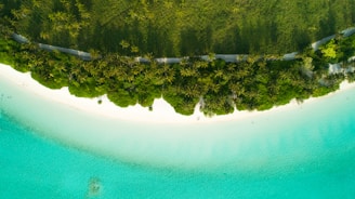 A breathtaking view of the tropical beaches of Bali with crystal-clear water and palm trees.