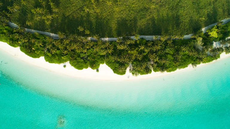 An aerial view of a tropical beach with lush green palm trees lining the shoreline. The pristine white sand curves along the clear turquoise water, creating a serene and picturesque landscape.
