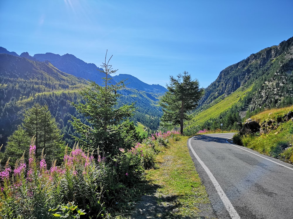 road near mountain range