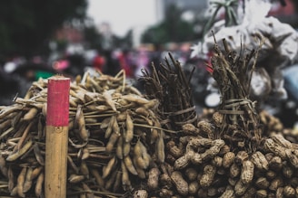 Bundles of raw peanuts and legumes are tied together and presented on a market stand. The image includes a red-tipped wooden pole and a blurred background suggesting a busy outdoor market setting.