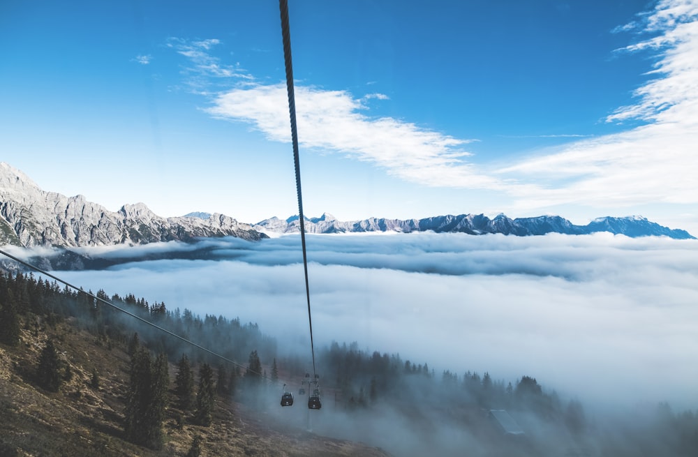 Photographie aérienne d’arbres et de montagnes entourés de brouillard
