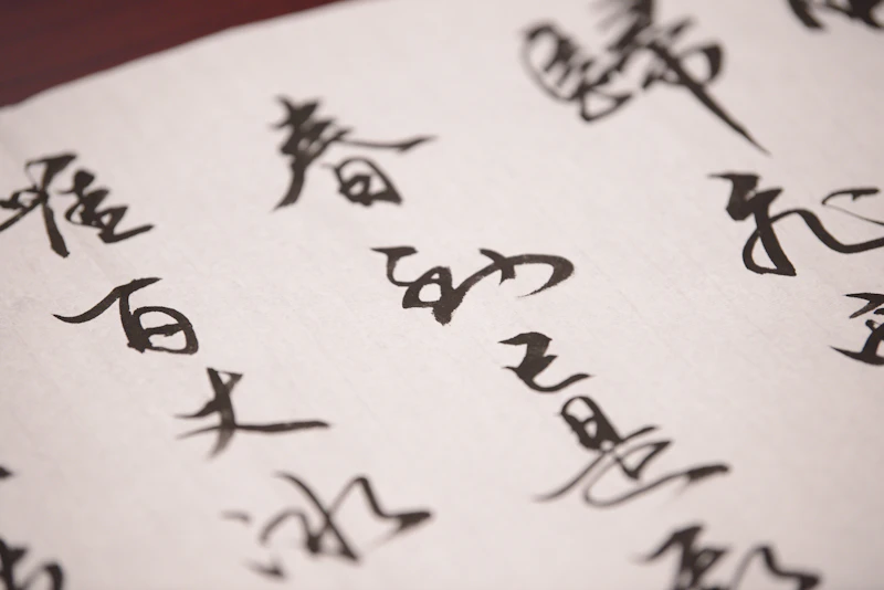 篆書 楷書 書体 印章 クローズアップ