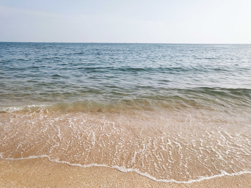 close-up photography of sea