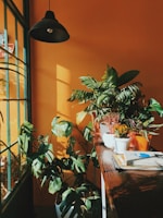 A vibrant corner nook filled with plants, eclectic patterns, and mood-enhancing lighting.