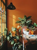 A warmly lit interior corner features a collection of lush potted plants arranged on a wooden surface beside a large window. The orange walls contrast with the green foliage, creating a vibrant atmosphere. Sunlight streams in, casting shadows on the wall, and a black pendant lamp hangs from the ceiling.