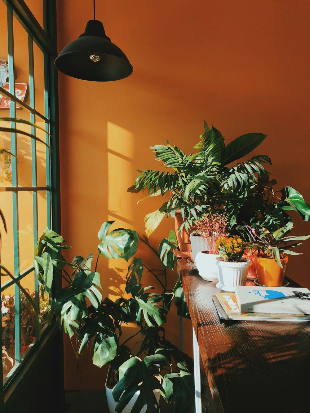 green-leafed plants beside table inside room