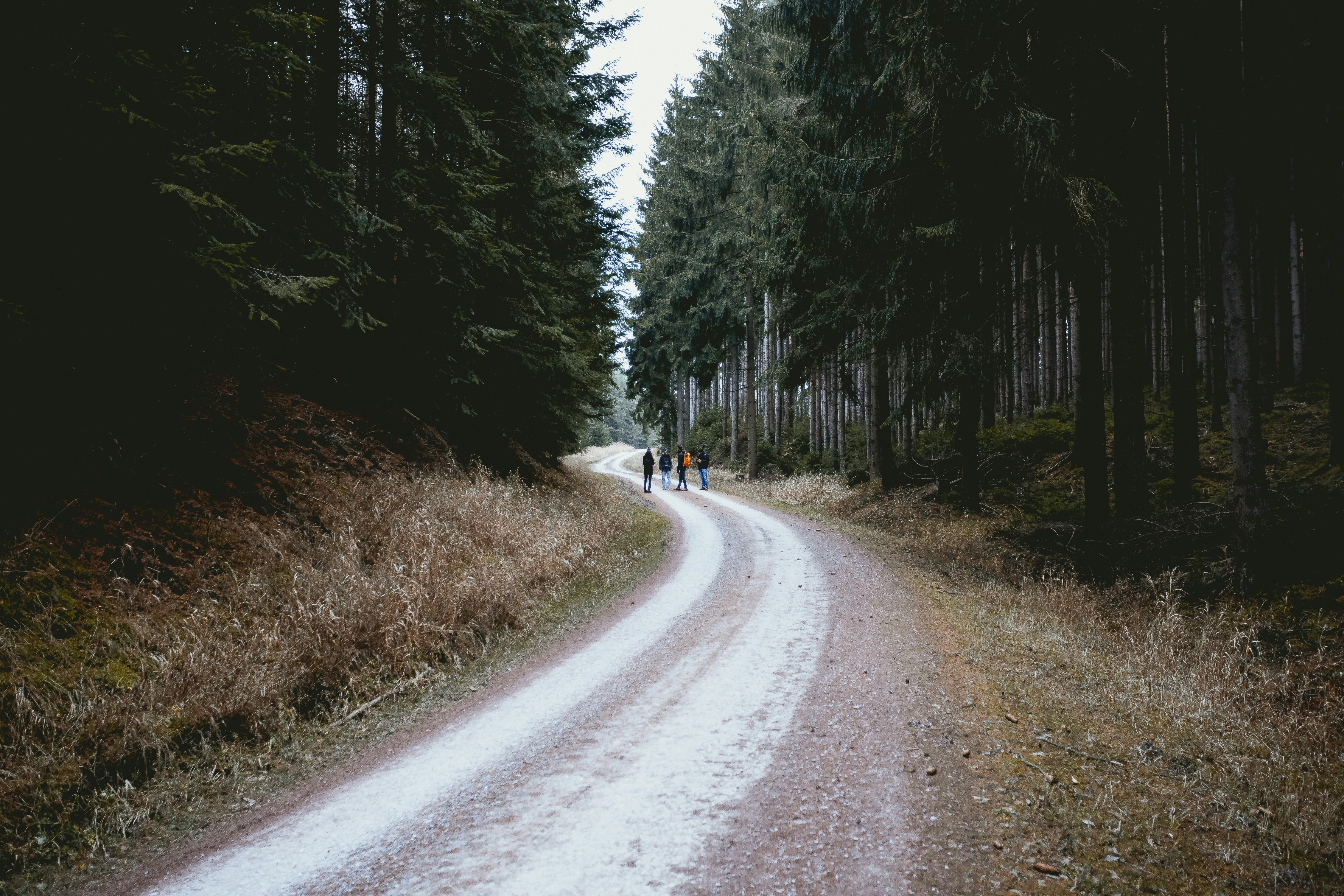 Photo by niklas_hamann