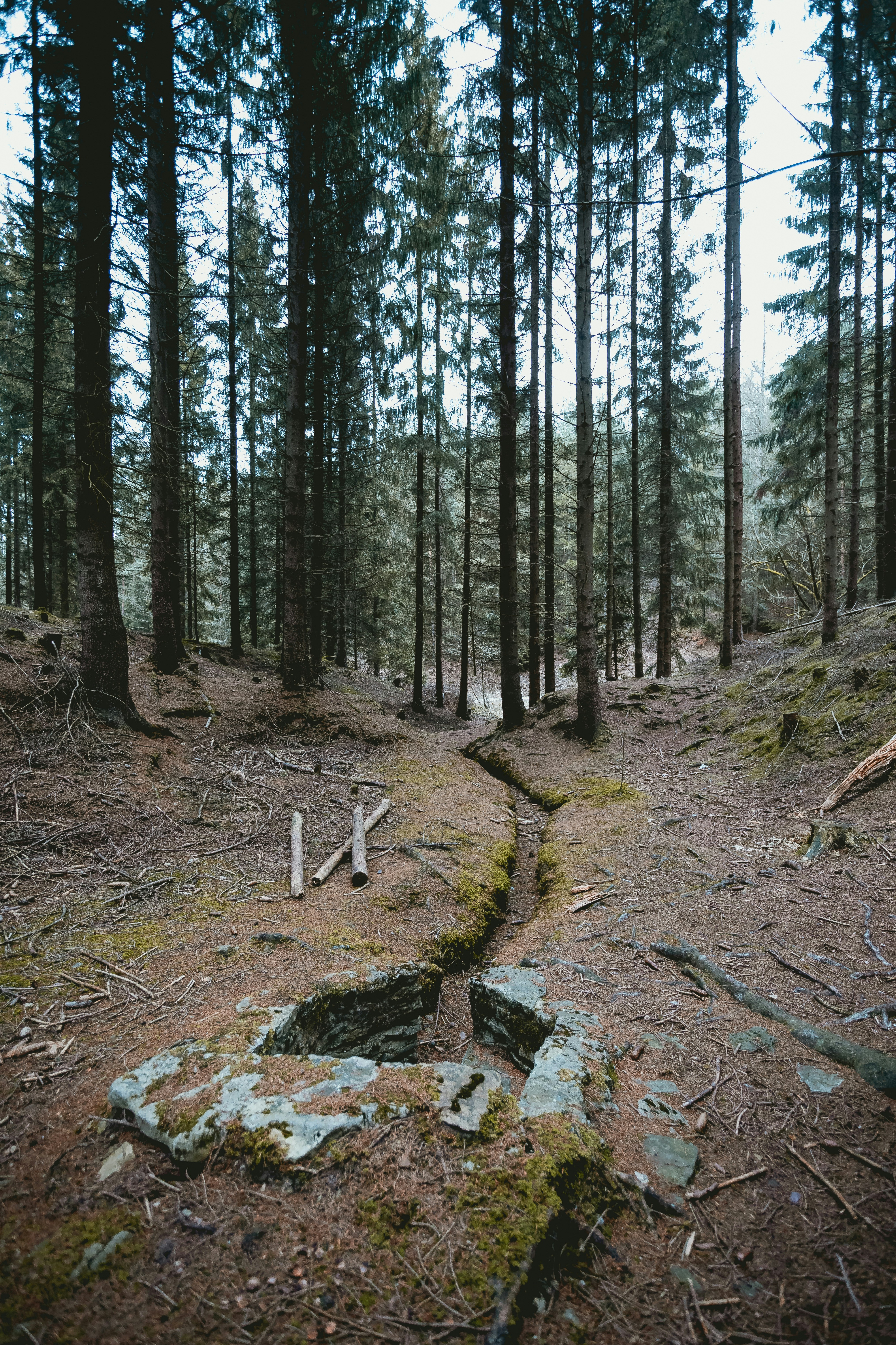 Photo by niklas_hamann