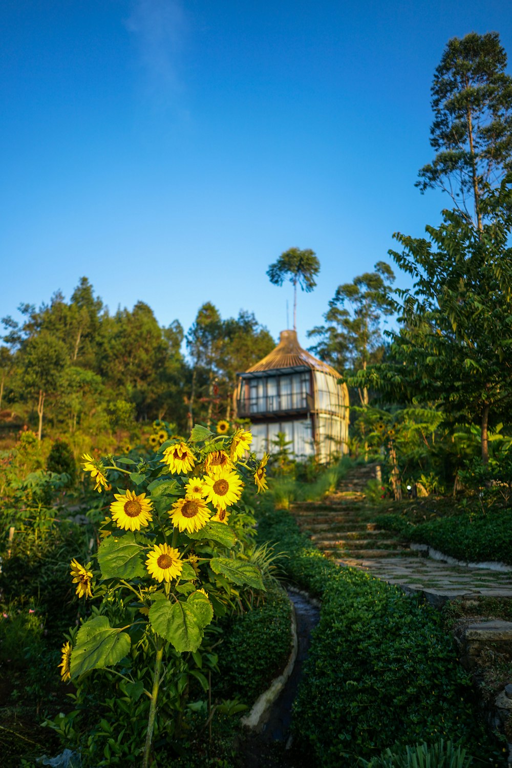 white and brown house surrounded by trees under blue sky during daytime