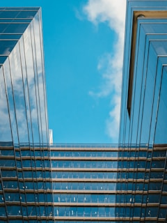 low-angle photography of glass buildings