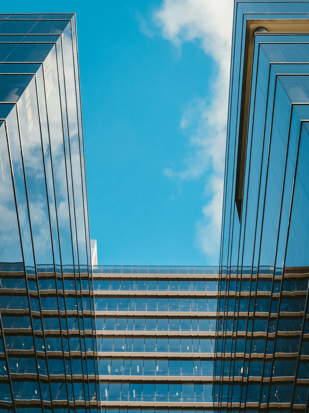 low-angle photography of glass buildings