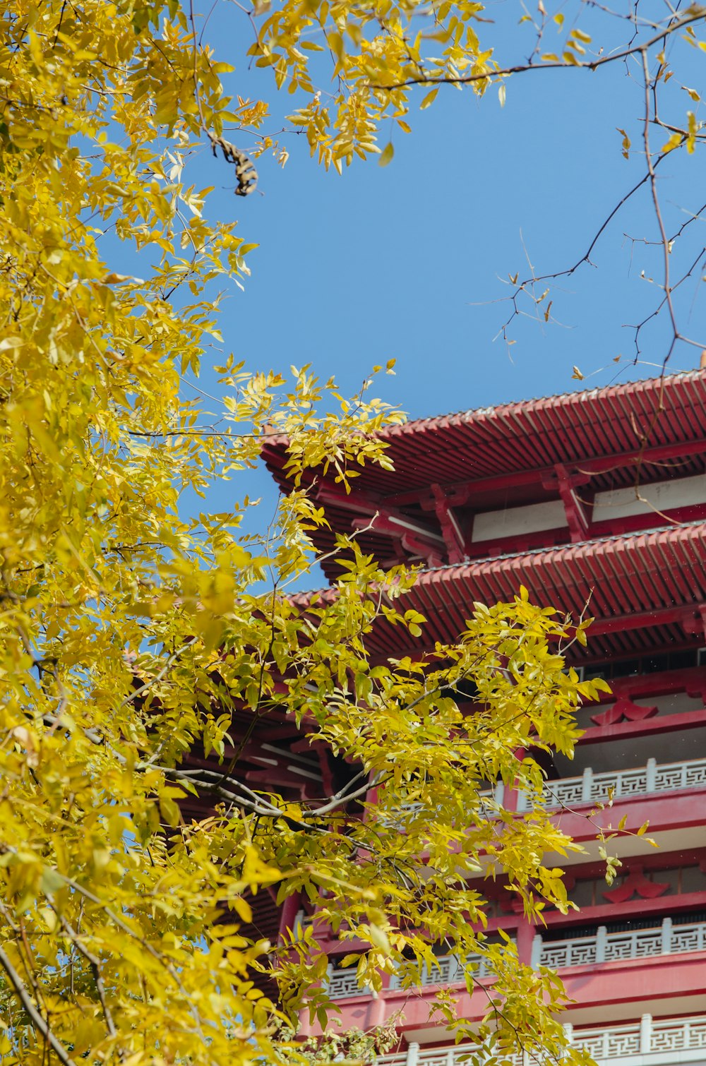 brown temple beside yellow leafed plant