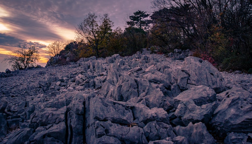 gray rocks near green-leafed trees