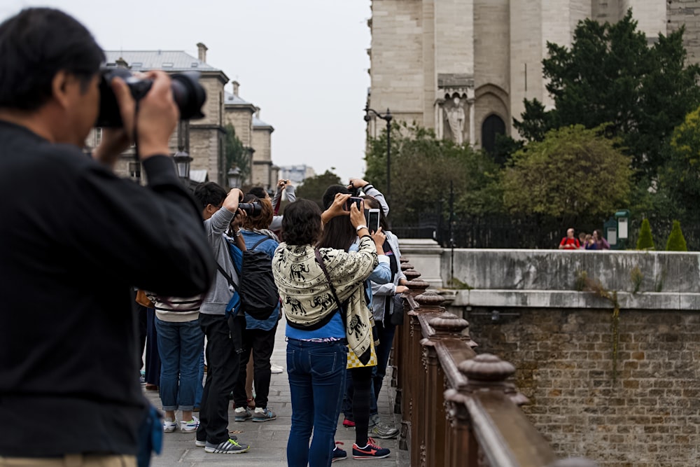 people taking photo near green trees