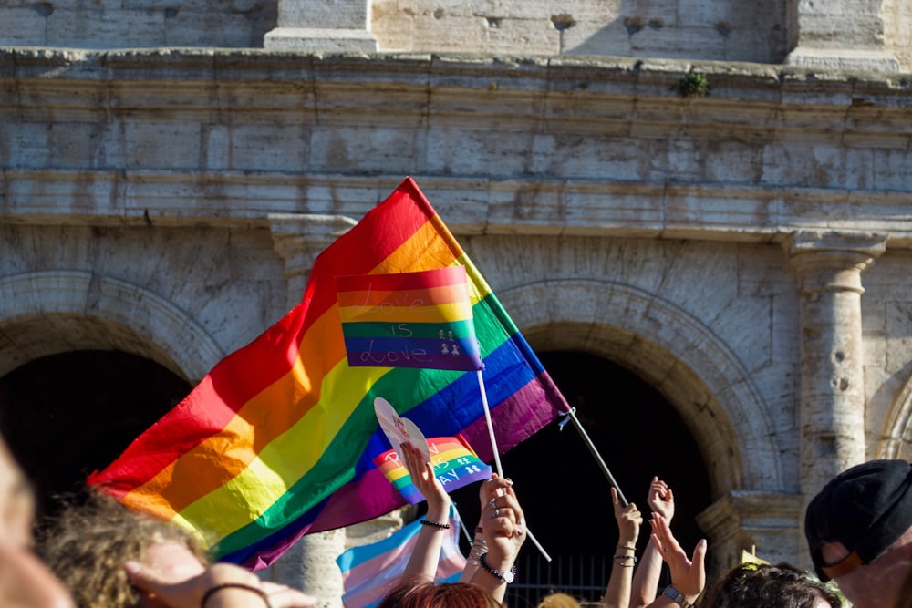 people waving flag