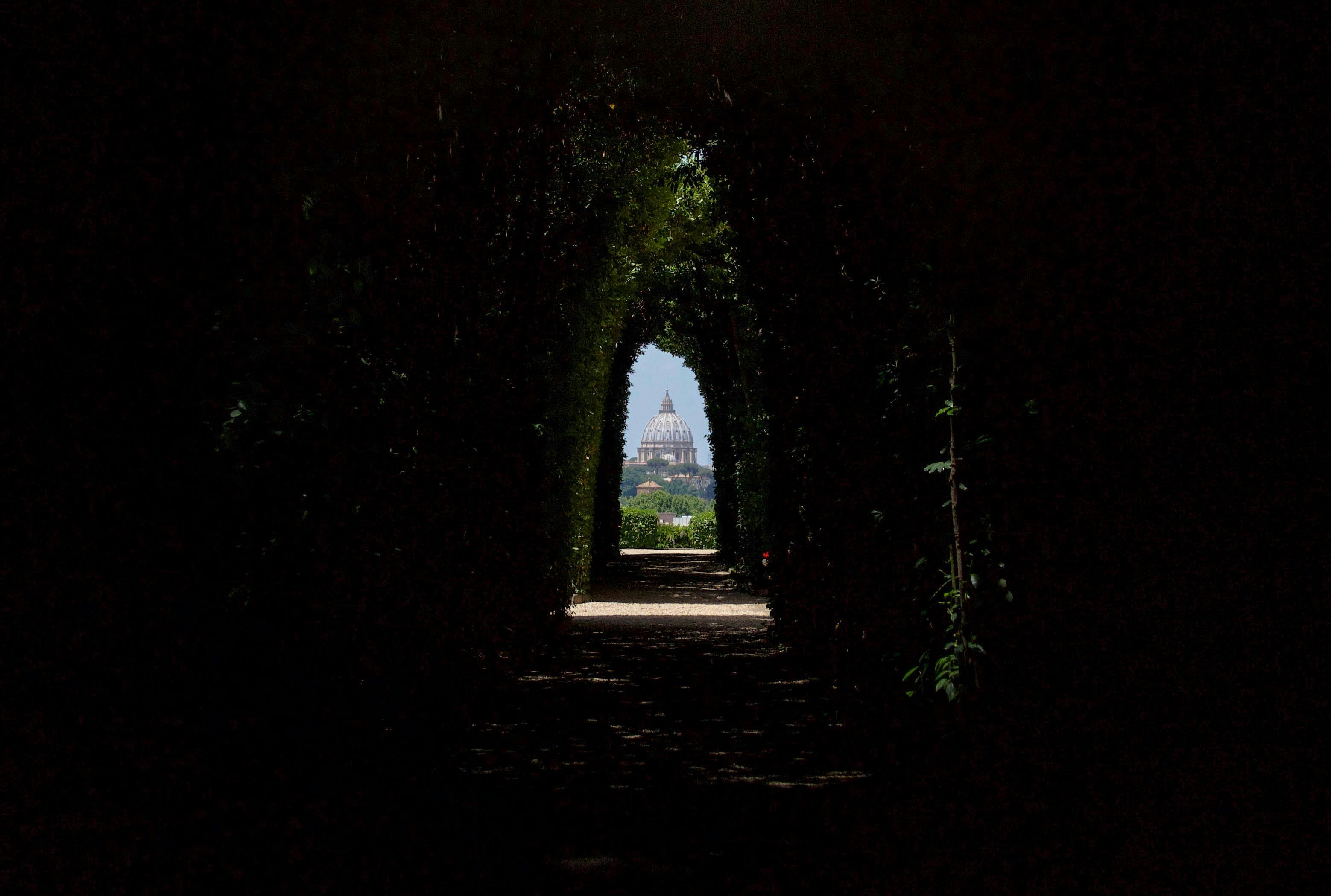 Photo by serenarepice