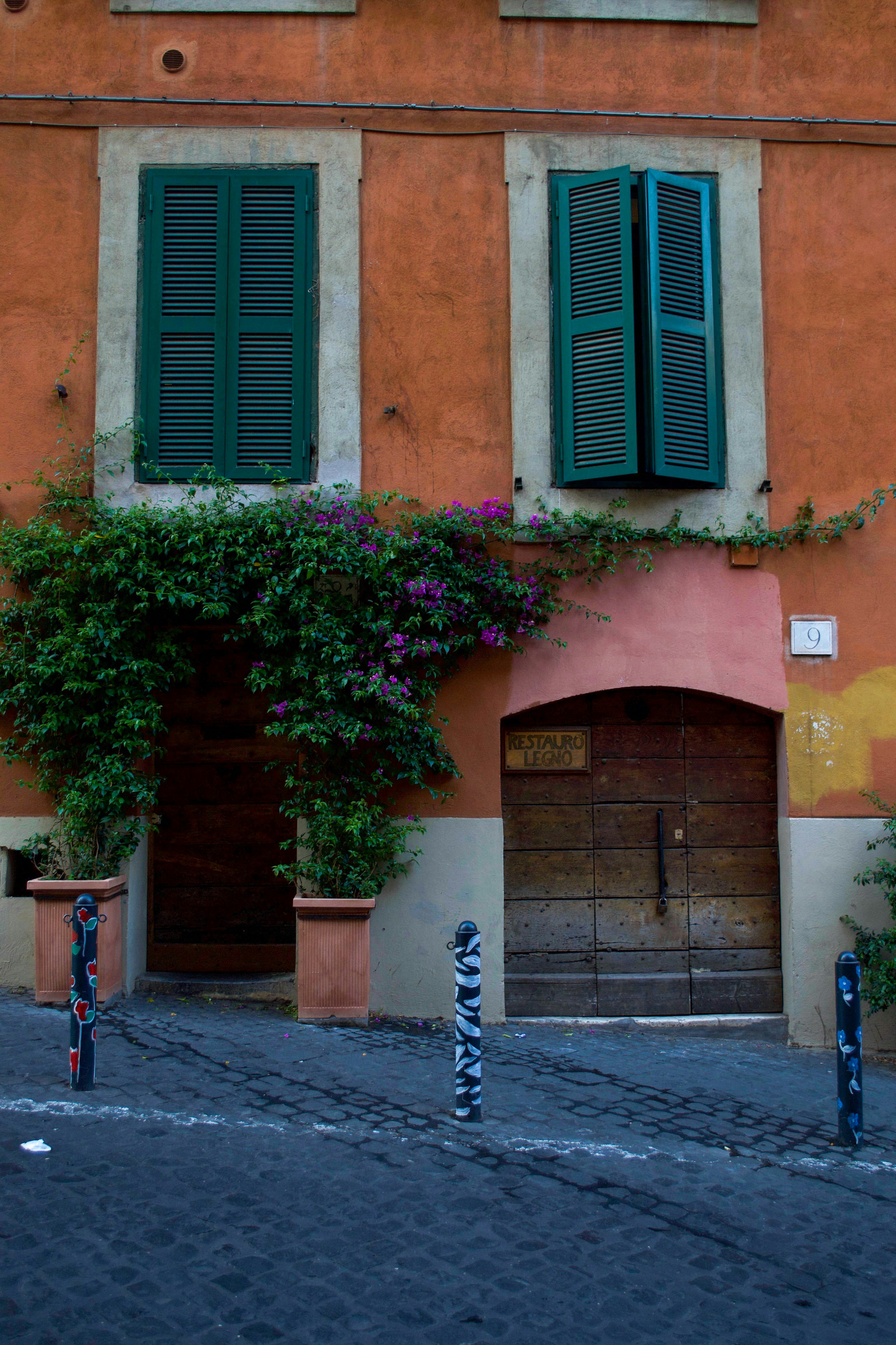 Photo by serenarepice