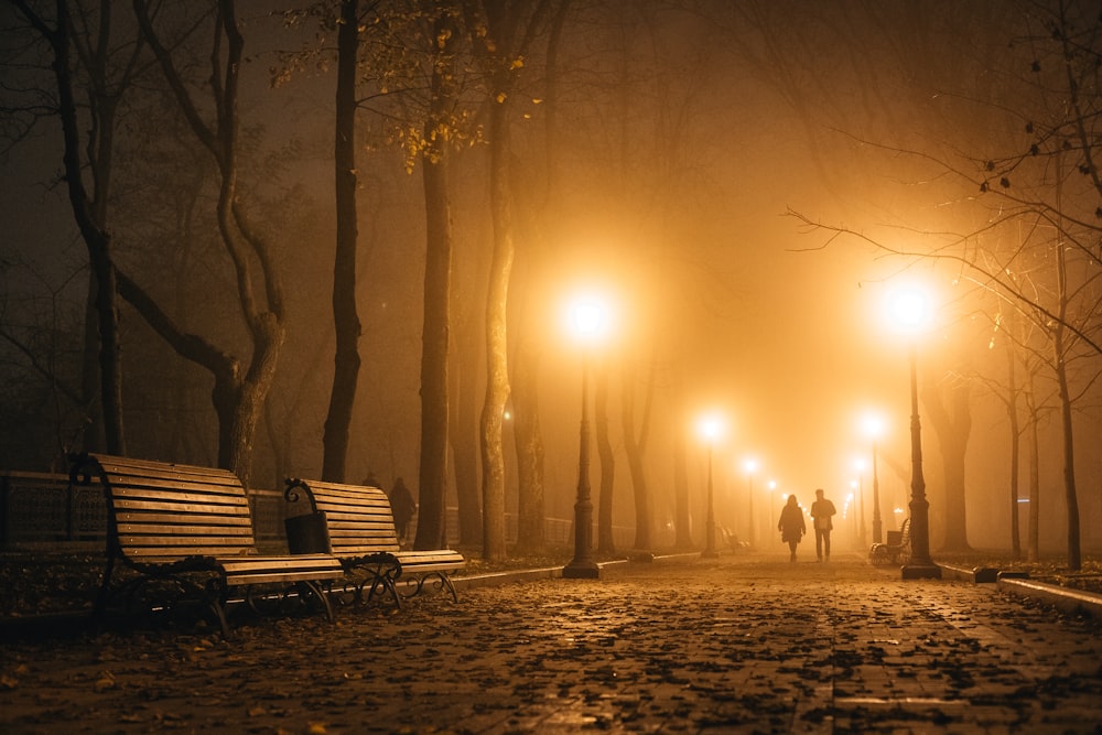 two persons walking at the park during night