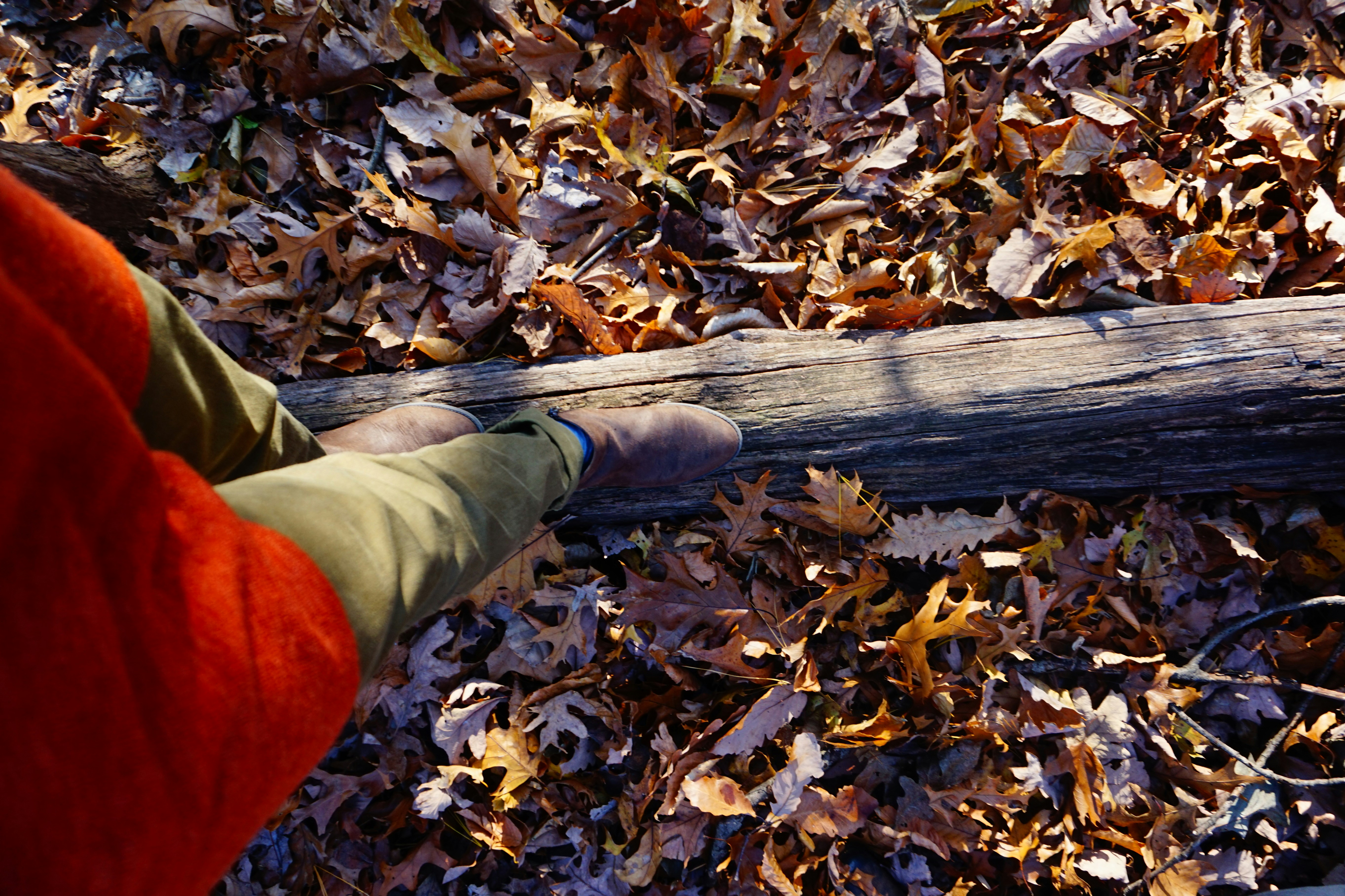 photo 1545058712 bc450eee4dc6?ixlib=rb 4.0