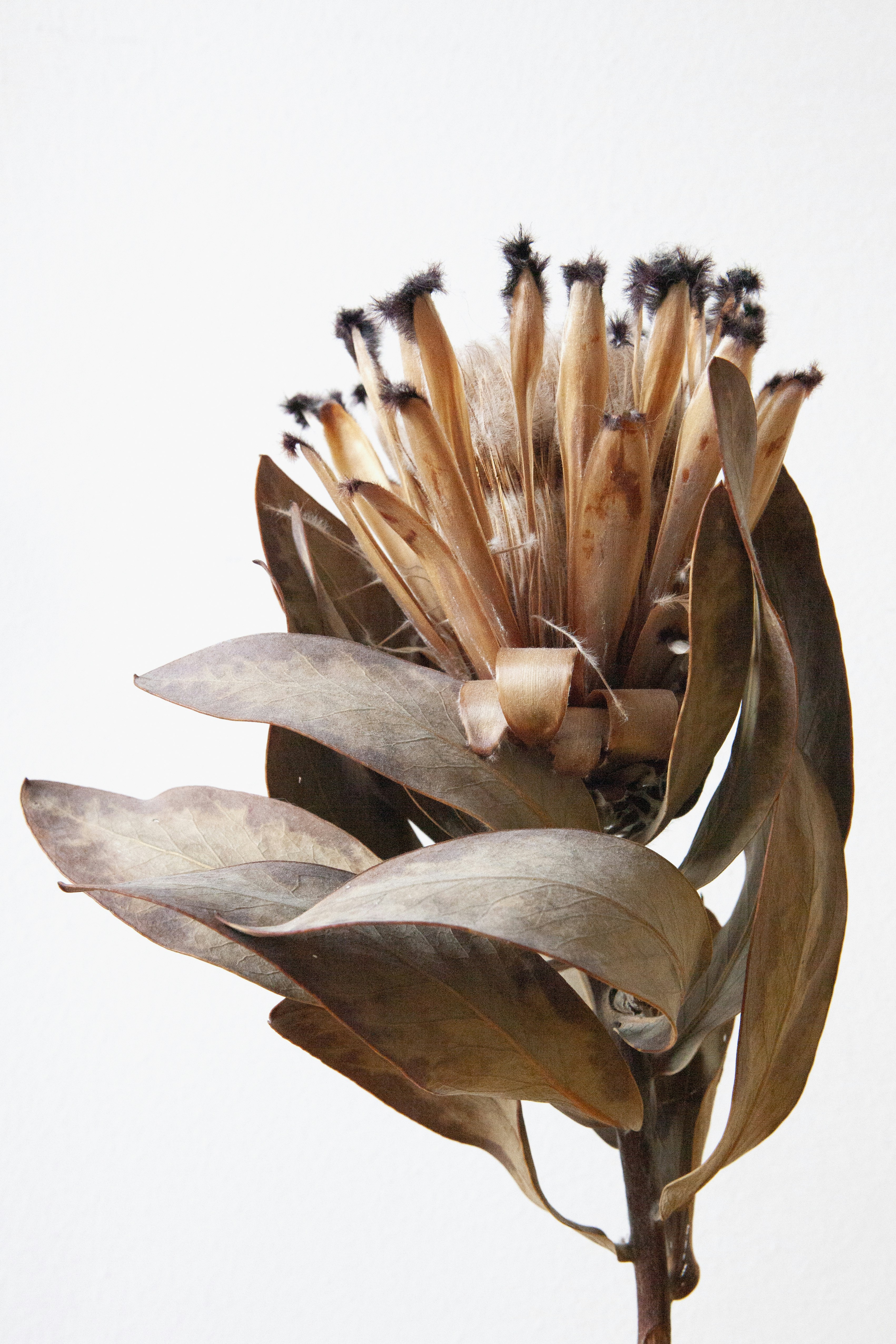 Photo by margot_pandone