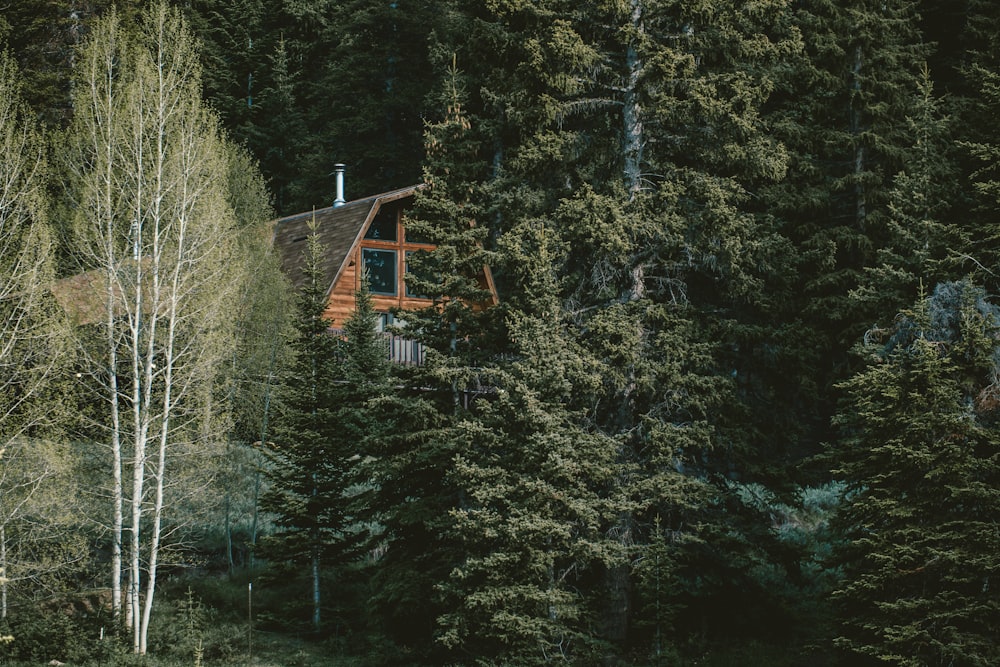 aerial photography of house near tres