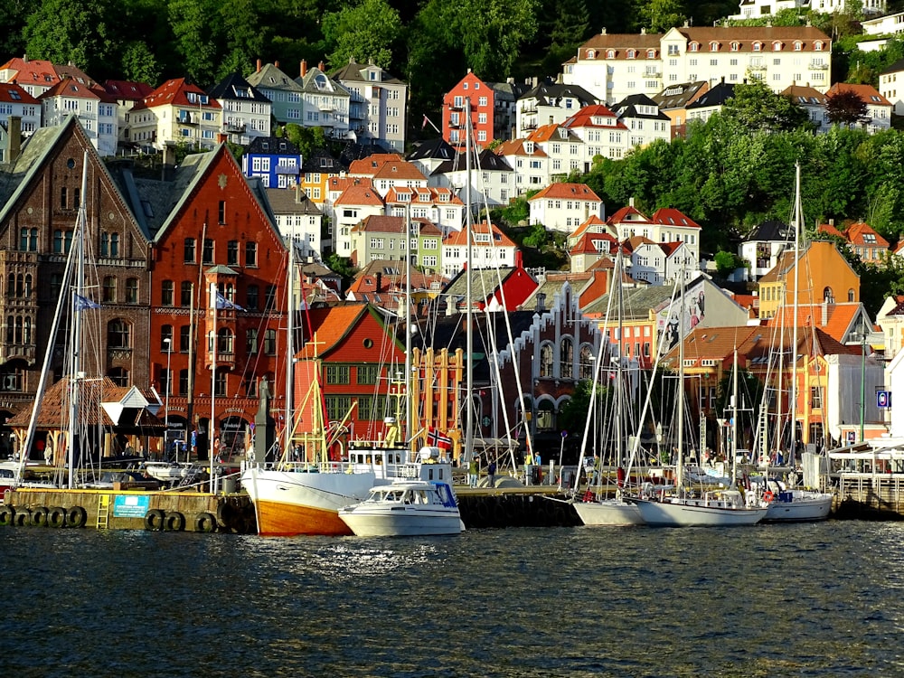 multicolored houses near body of water