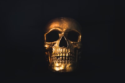 gold skull decor scary zoom background