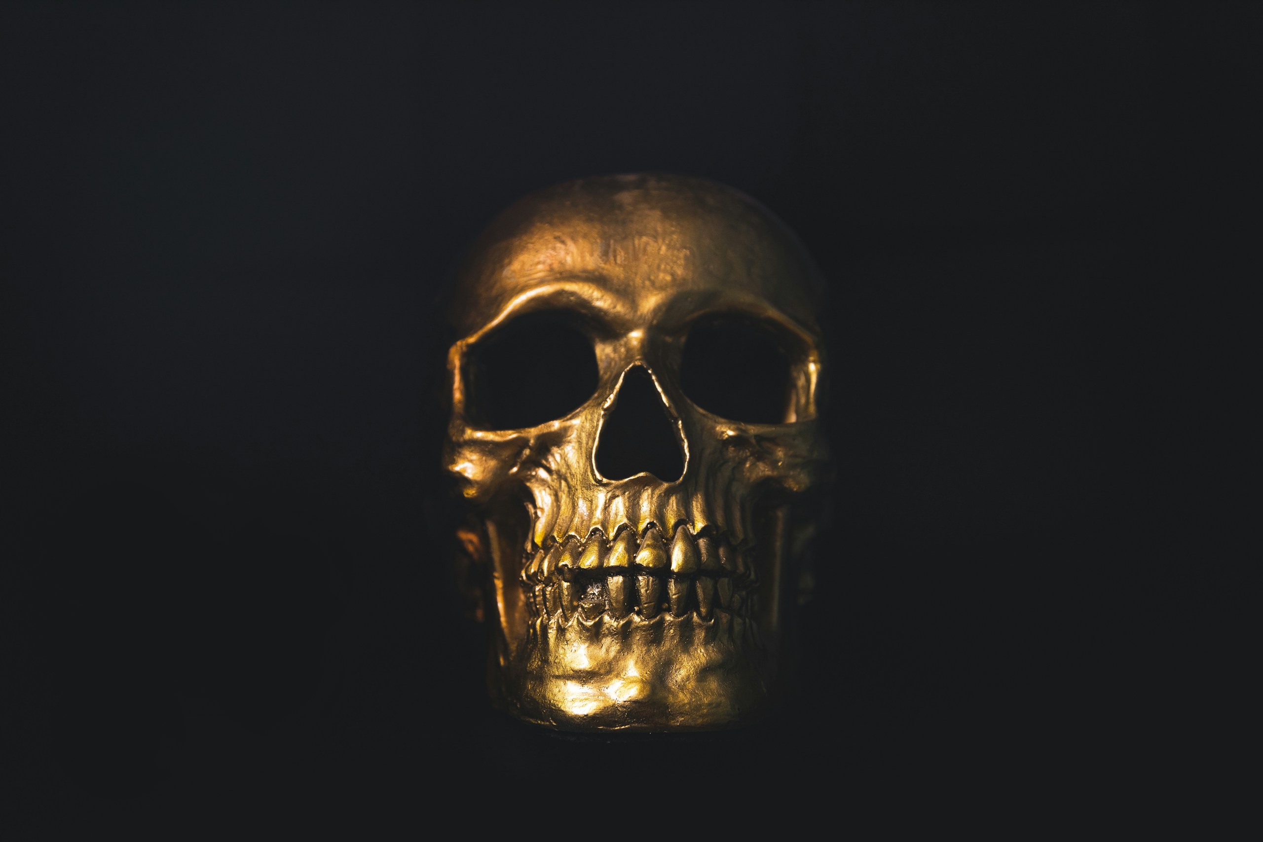 gold skull decor