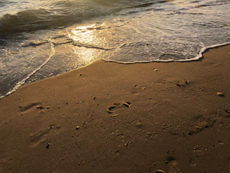 Soft morning light over a quiet beach with gentle waves and footprints in the sand.