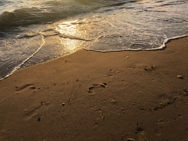 Soft morning light over a quiet beach with gentle waves and footprints in the sand.
