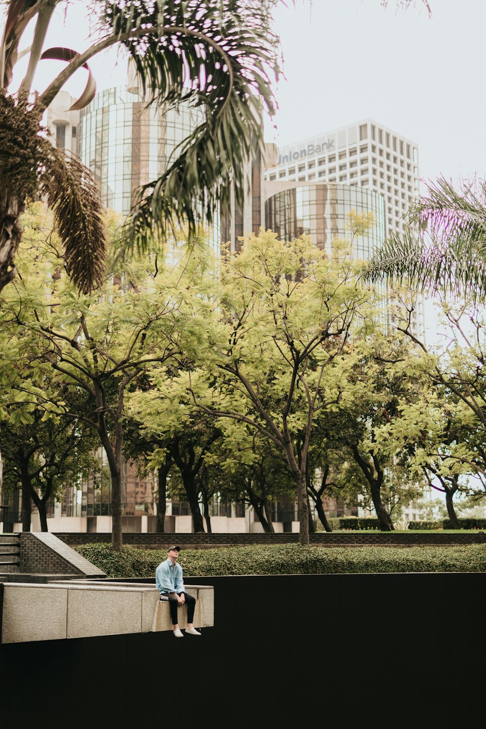 man sitting under palm tree