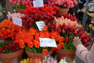 A vibrant display of artificial tulips in various shades, including red, orange, and pink, placed in large terracotta pots. Price tags indicate costs in euros. One person's hand is visible, suggesting interaction with the flowers, perhaps examining or arranging them.