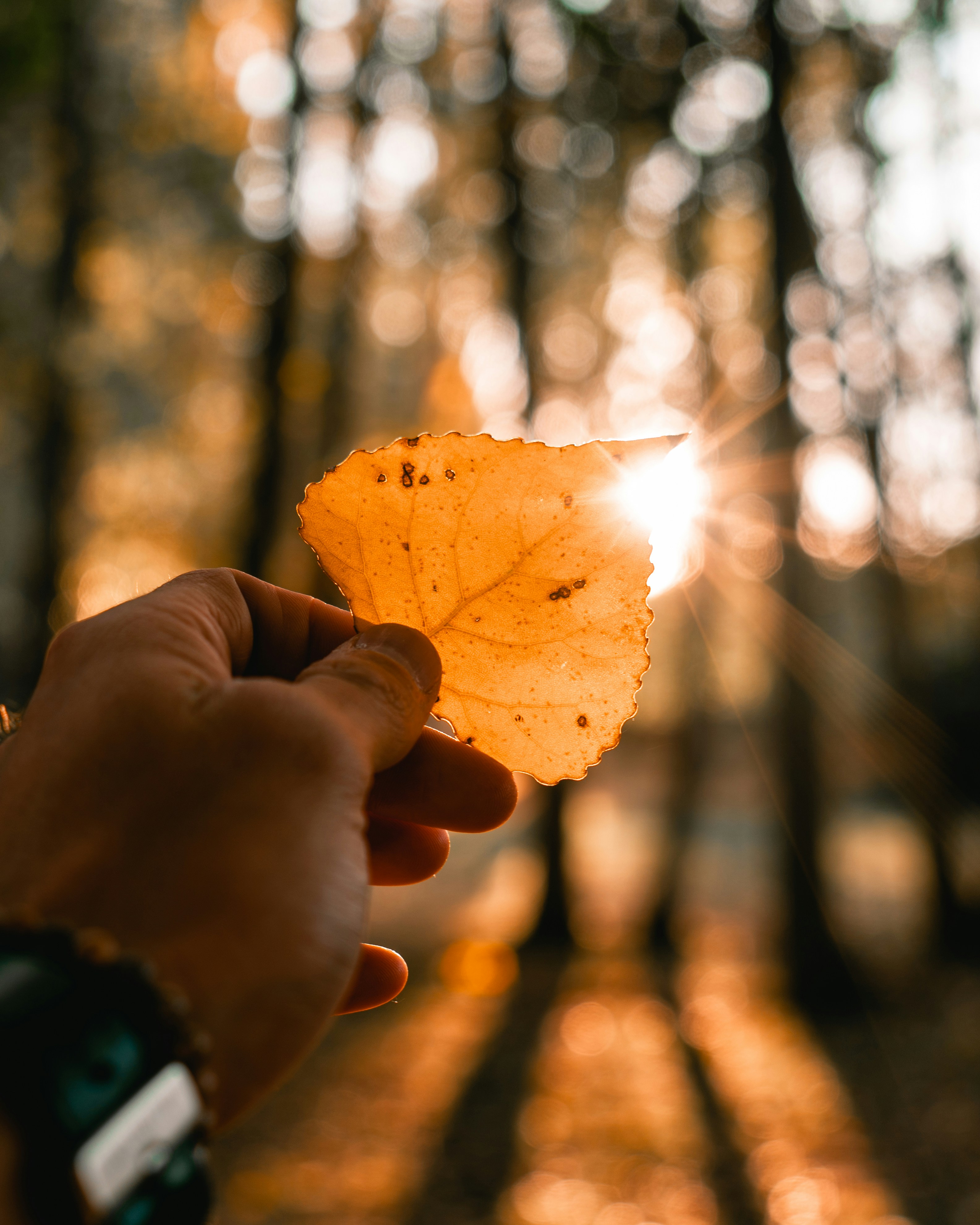 Employee thinking about leave