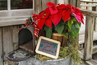 Close-up of a handwritten letter to Santa Cowboy, surrounded by crayons and holiday cards