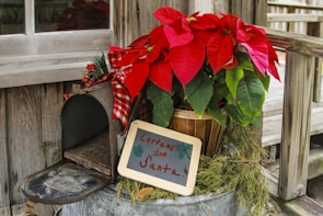 An open rustic mailbox is filled with a holiday-themed decoration featuring a bouquet of vibrant red poinsettias. A small chalkboard sign leans against the plant, inscribed with 'Letters for Santa'. The arrangement is set against a weathered wooden background, creating a cozy, festive atmosphere.