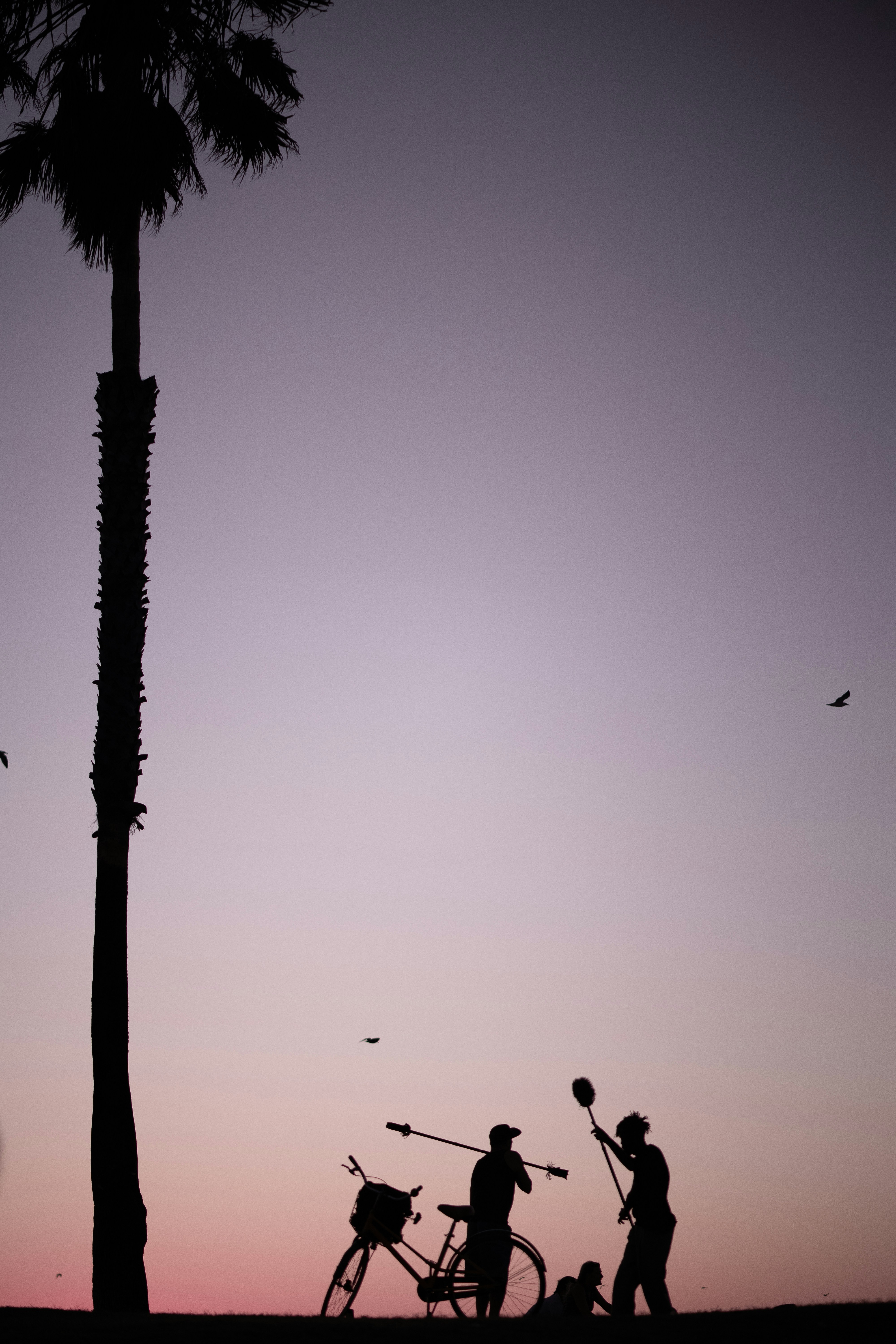 自転車と椰子の木の近くにいる 3 人のシルエット写真の写真 Unsplashで見つけるグレーの無料写真