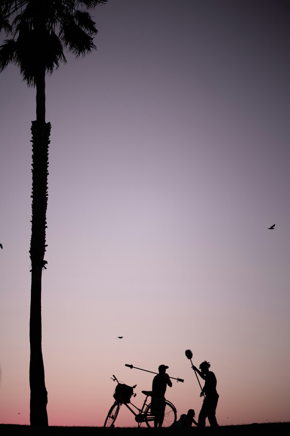 silhouette photography of three people near bike and coconut tree